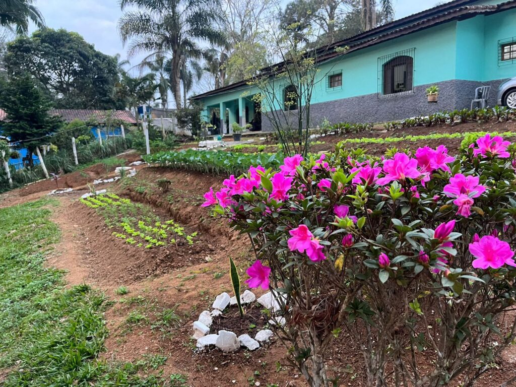 clinica-de-recuperacao-em-suzano